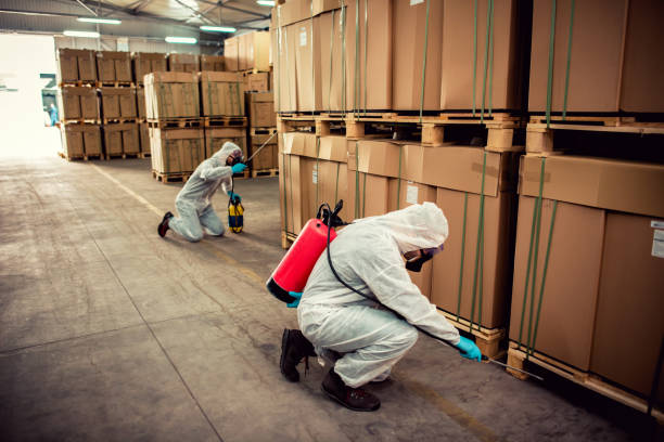 Best Flea Control Services  in West Union, OH