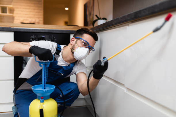 Best Flea Control Services  in West Union, OH