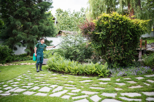 Best Best Pest Control Companies  in West Union, OH