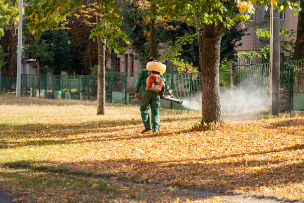 Best Bird Control  in West Union, OH