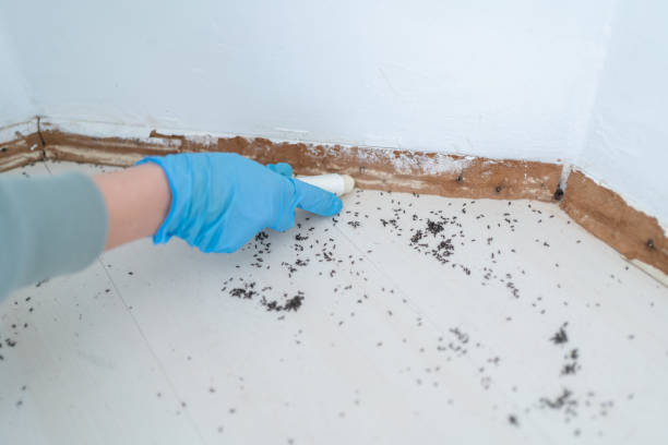 Best Pest Prevention Services  in West Union, OH