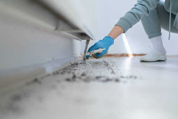 Best Cockroach Control Services  in West Union, OH